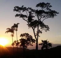 Daintree Holiday Homes - Yurara - Accommodation Resorts