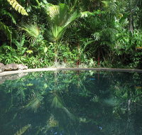 Daintree Rainforest Retreat Motel - Accommodation Resorts