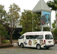 Daintree Wild Bed  Breakfast - Accommodation Resorts