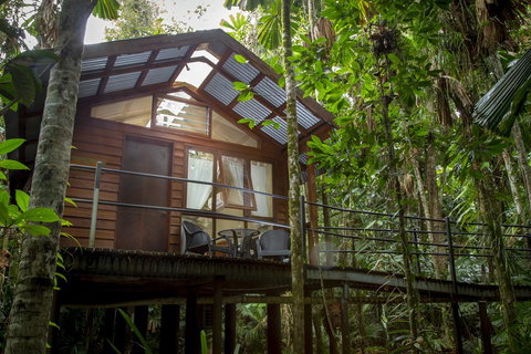 Daintree Wilderness Lodge - Accommodation Resorts 2