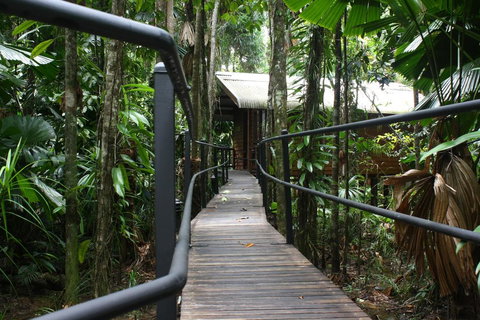Daintree Wilderness Lodge - Accommodation Resorts 0