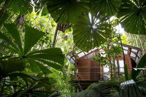 Daintree Wilderness Lodge - Accommodation Resorts 1