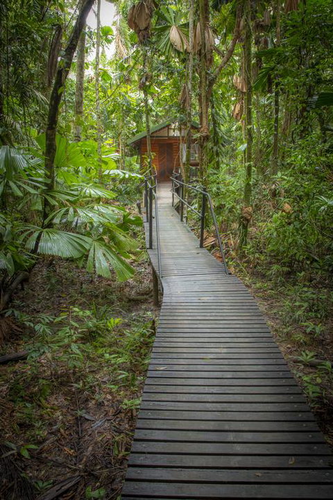 Daintree Wilderness Lodge - Accommodation Resorts 3
