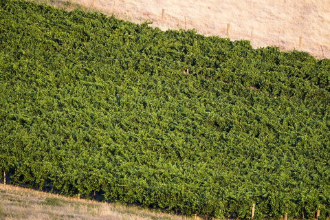 Dairyman's Cottage - Accommodation Resorts 1