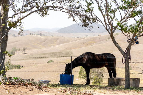 Dam It Getaway Tiny House - Accommodation Resorts 1