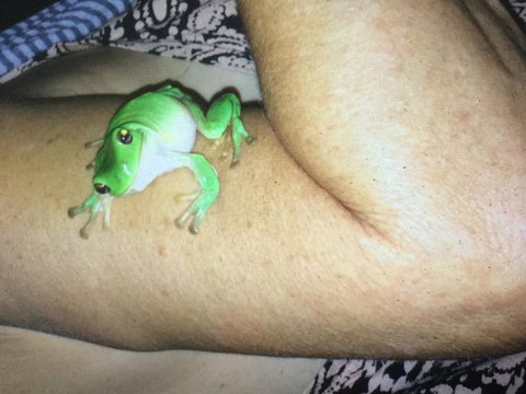 De Shed Shannonvale - Accommodation Resorts 1