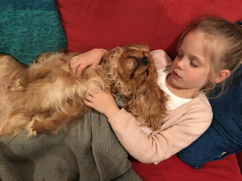 Dingup House - Accommodation Resorts 2