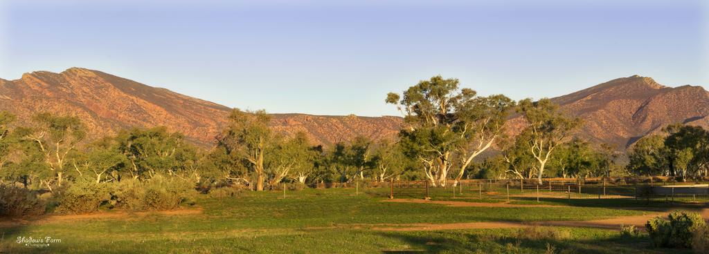 Flinders Ranges SA Accommodation Resorts