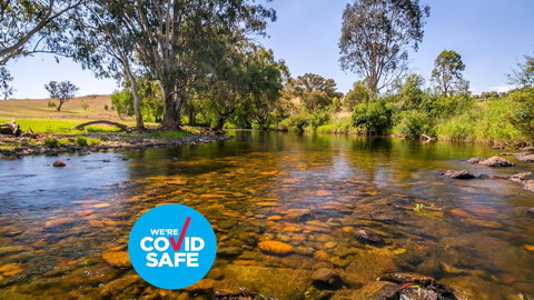 Elm Cottage - Accommodation Resorts 1