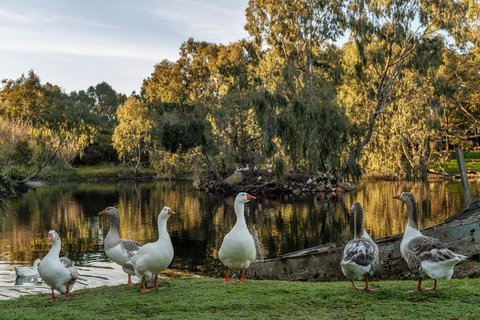 Empire Spa Retreat - Accommodation Resorts 2