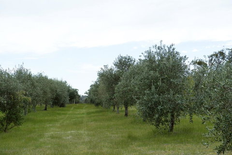 Empire Spa Retreat - Accommodation Resorts 1