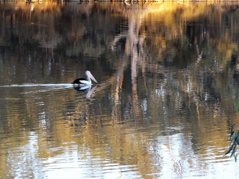 Euston Club Motel - Accommodation Resorts 0