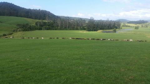 Farm Golf - Accommodation Resorts 2