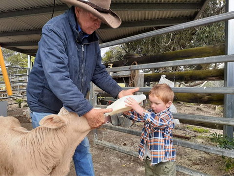 Fay's Cottage - Accommodation Resorts 2