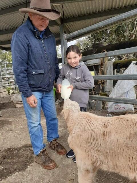 Fay's Cottage - Accommodation Resorts 3