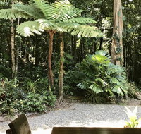Forest Views Daintree - Accommodation Resorts