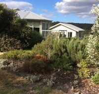 Forrest Willy Wagtail Studio - Accommodation Resorts