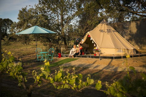 Grapevine Glamping - Accommodation Resorts 0