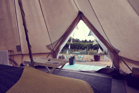 Grapevine Glamping - Accommodation Resorts 3