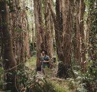 Habitat Noosa - Accommodation Resorts