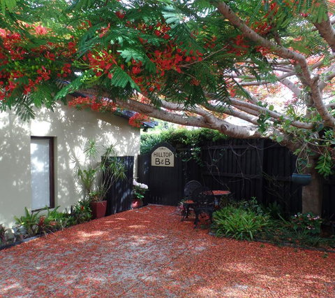Hilltop B&B - Accommodation Resorts 2