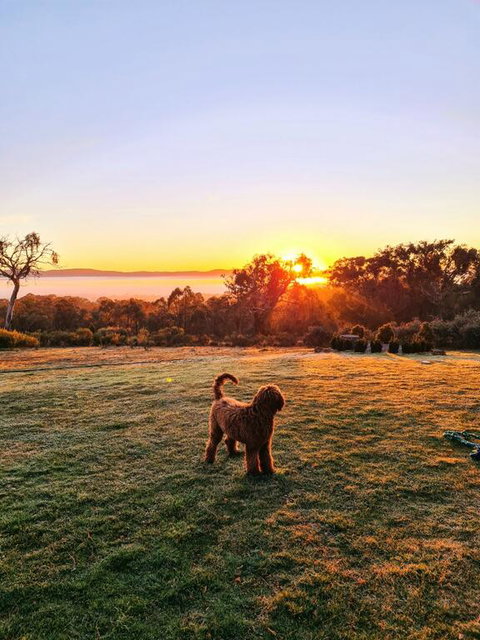 Horningsea - Accommodation Resorts 3