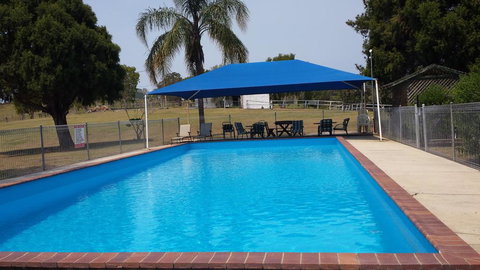 Jacaranda Motor Lodge - Accommodation Resorts 0