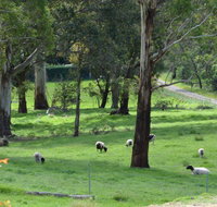 JAN'S ART STUDIO AT ASHBY RISE - Accommodation Resorts