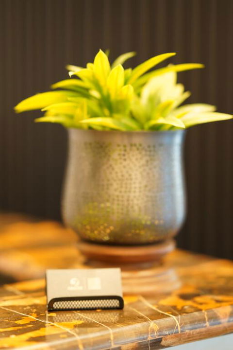 Jephson Hotel & Apartments - Accommodation Resorts 3