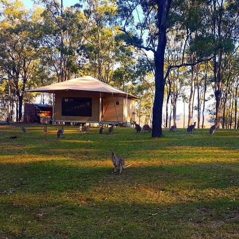 Ketchup's Bank Glamping - Accommodation Resorts 3