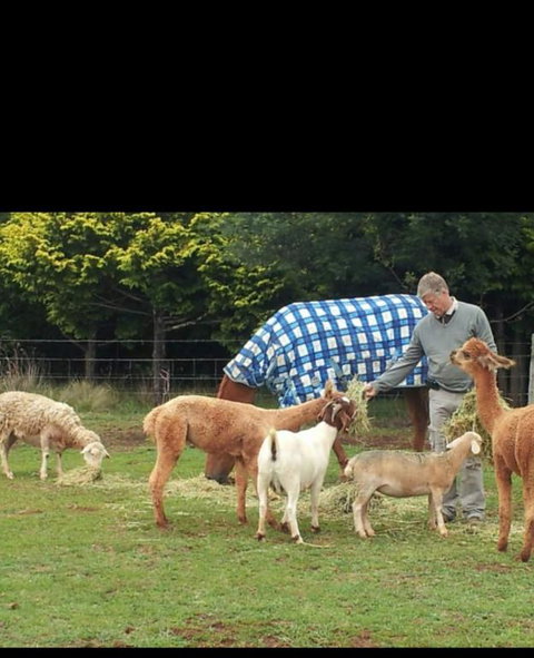 Kilfinan - Accommodation Resorts 3