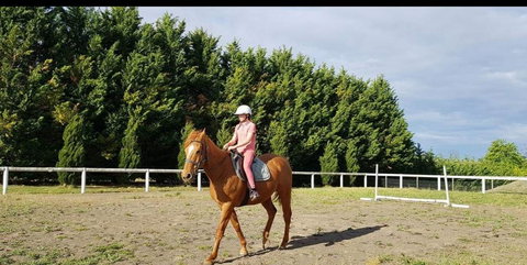 Kilfinan - Accommodation Resorts 0