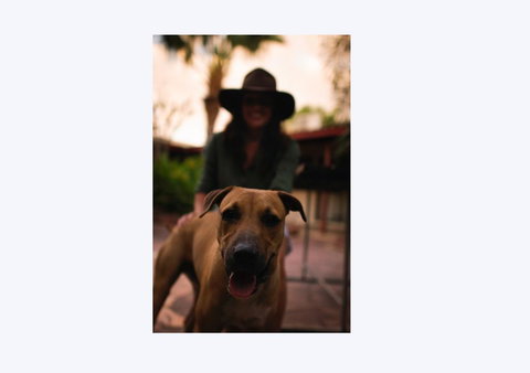 Kimberley Croc Motel - Accommodation Resorts 1