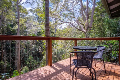 Kondalilla Eco Resort - Accommodation Resorts 3