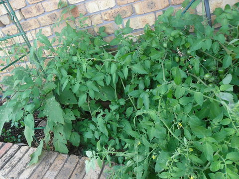 La Lagoon B&B - Accommodation Resorts 3