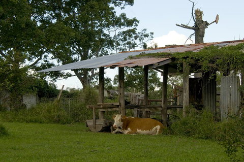 Lagoon Pocket Bed & Breakfast - Accommodation Resorts 3