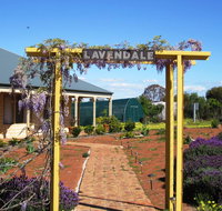 Lavendale Farmstay and Cottages York - Accommodation Resorts