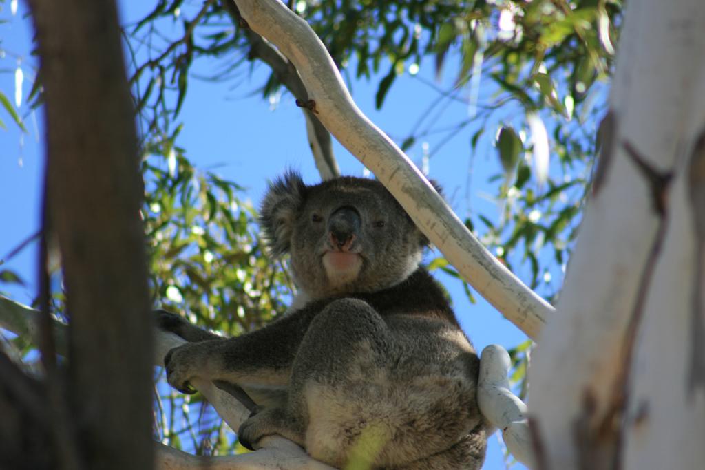 Vale Park SA Accommodation Resorts