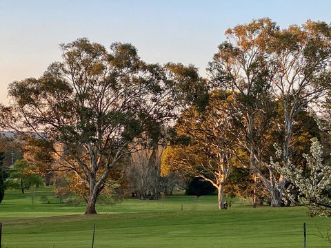 Links House - Accommodation Resorts 2