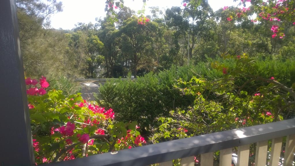 Linley Point NSW Accommodation Resorts