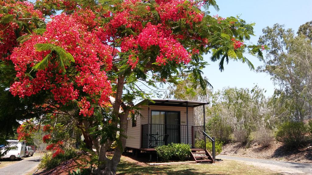 Mount Larcom QLD Accommodation Resorts