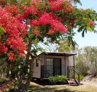 Mt Larcom Tourist Park - Accommodation Resorts