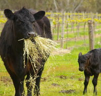 Naimanya Cottage - Accommodation Resorts