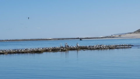 Kalbarri Seaview Villas - Accommodation Resorts 33