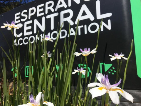 Esperance Central Accommodation - Accommodation Resorts 0