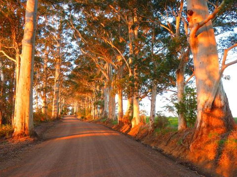 Innisfree Mountain Retreat - Accommodation Resorts 10