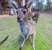 Yelverton Brook Eco Spa Retreat  Conservation Sanctuary - Accommodation Resorts