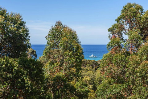 Gypsy Rise - Accommodation Resorts 14