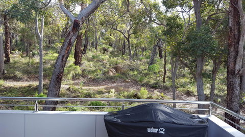 Cape Villas - Accommodation Resorts 5