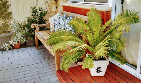 Sun Studio - Accommodation Resorts 33